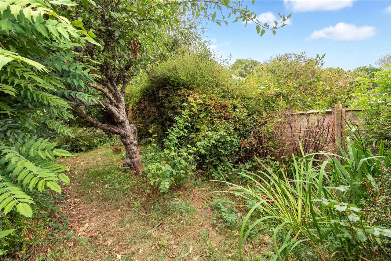 Town Lane, Petersfield, GU32, photo 12