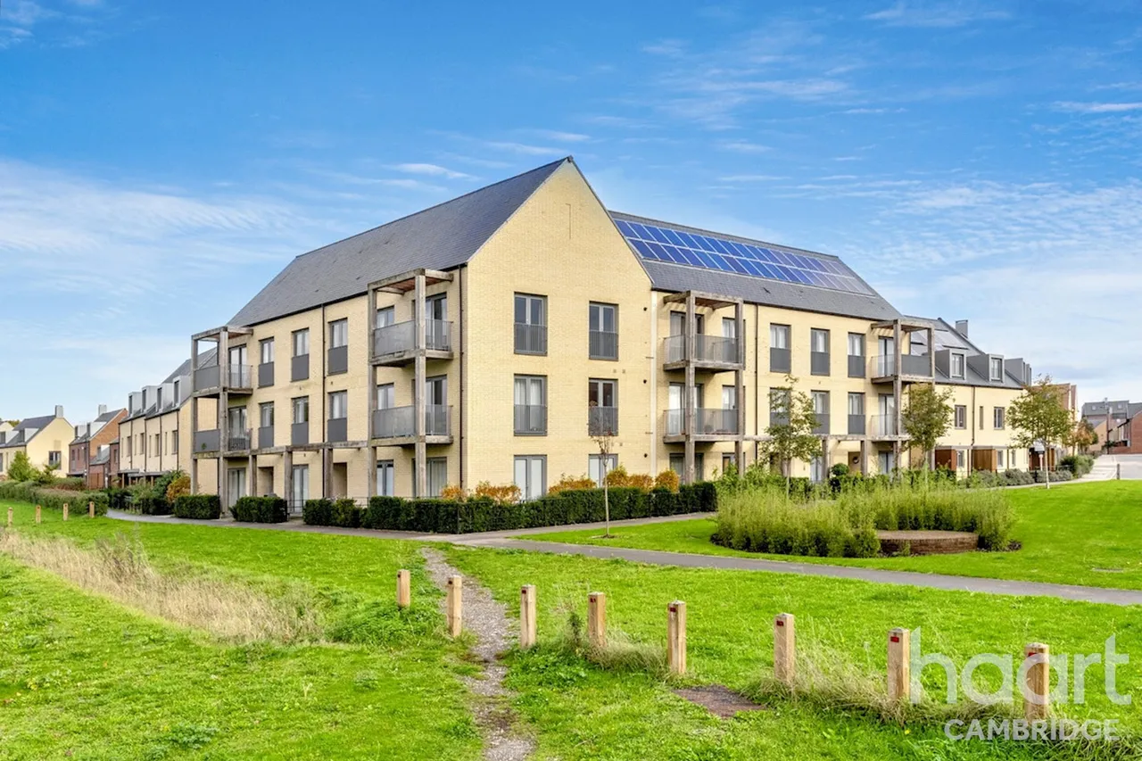 Otter Close, Cambridge, CB2, photo 12