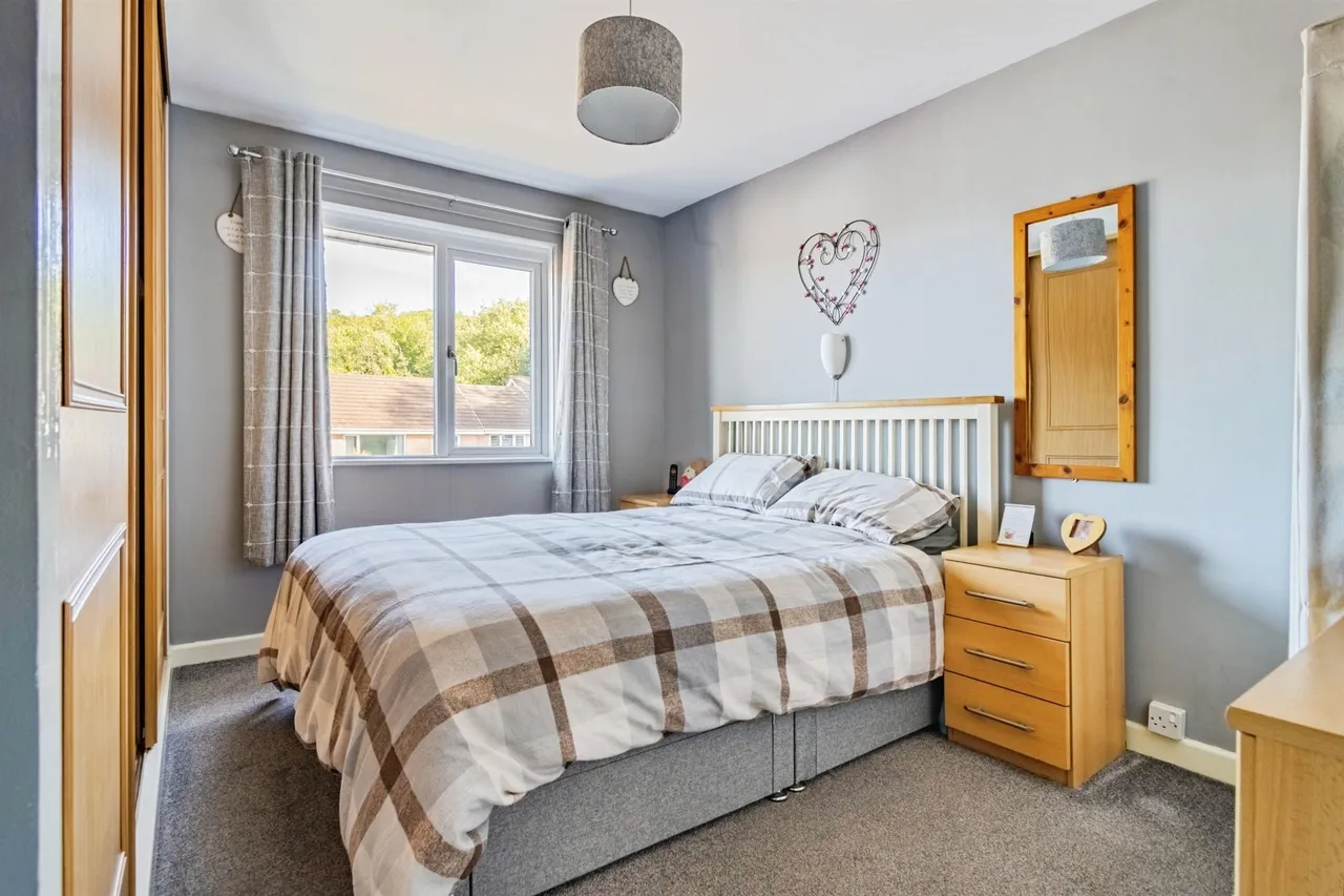 Mellows Meadow, Newton Abbot, photo 12