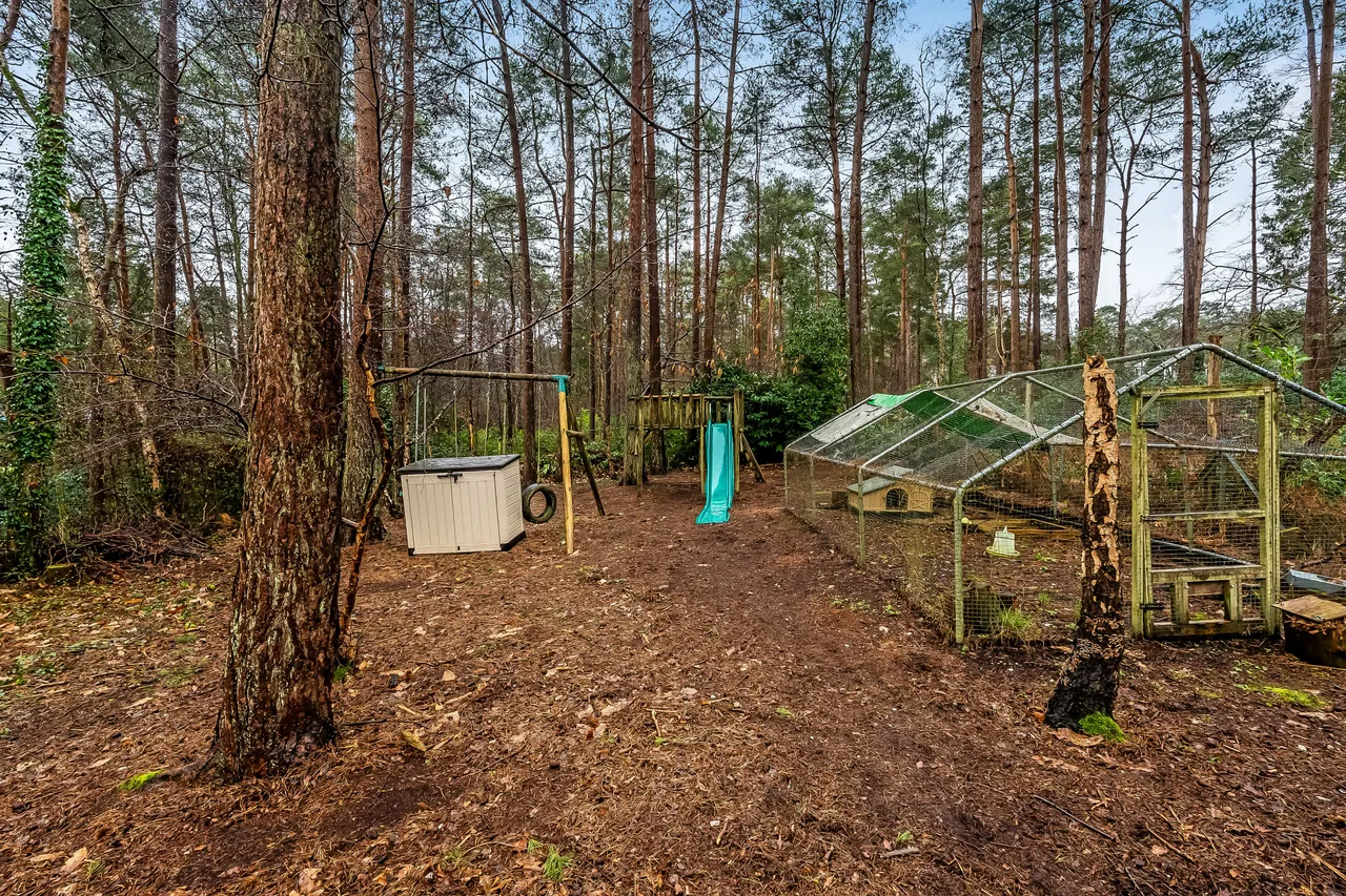 Frensham Vale, Farnham, GU10, photo 11