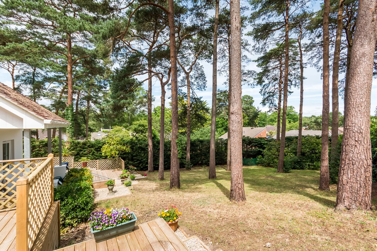 24 Pinewood Road, St. Ives, Ringwood, BH24 2PA, photo 27