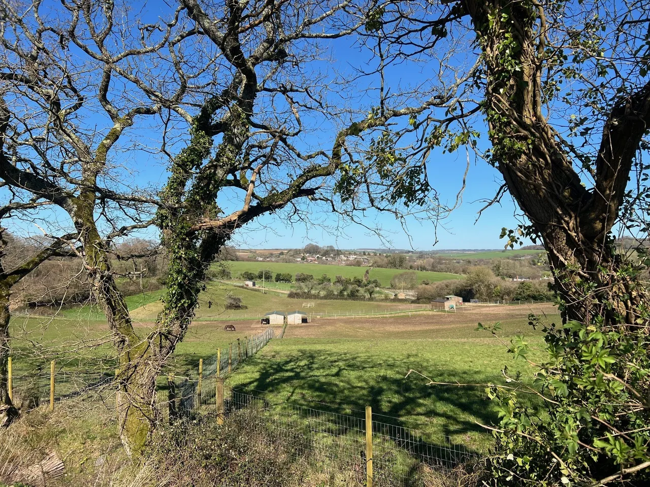 Rye Hill, Bere Regis, BH20, photo 20