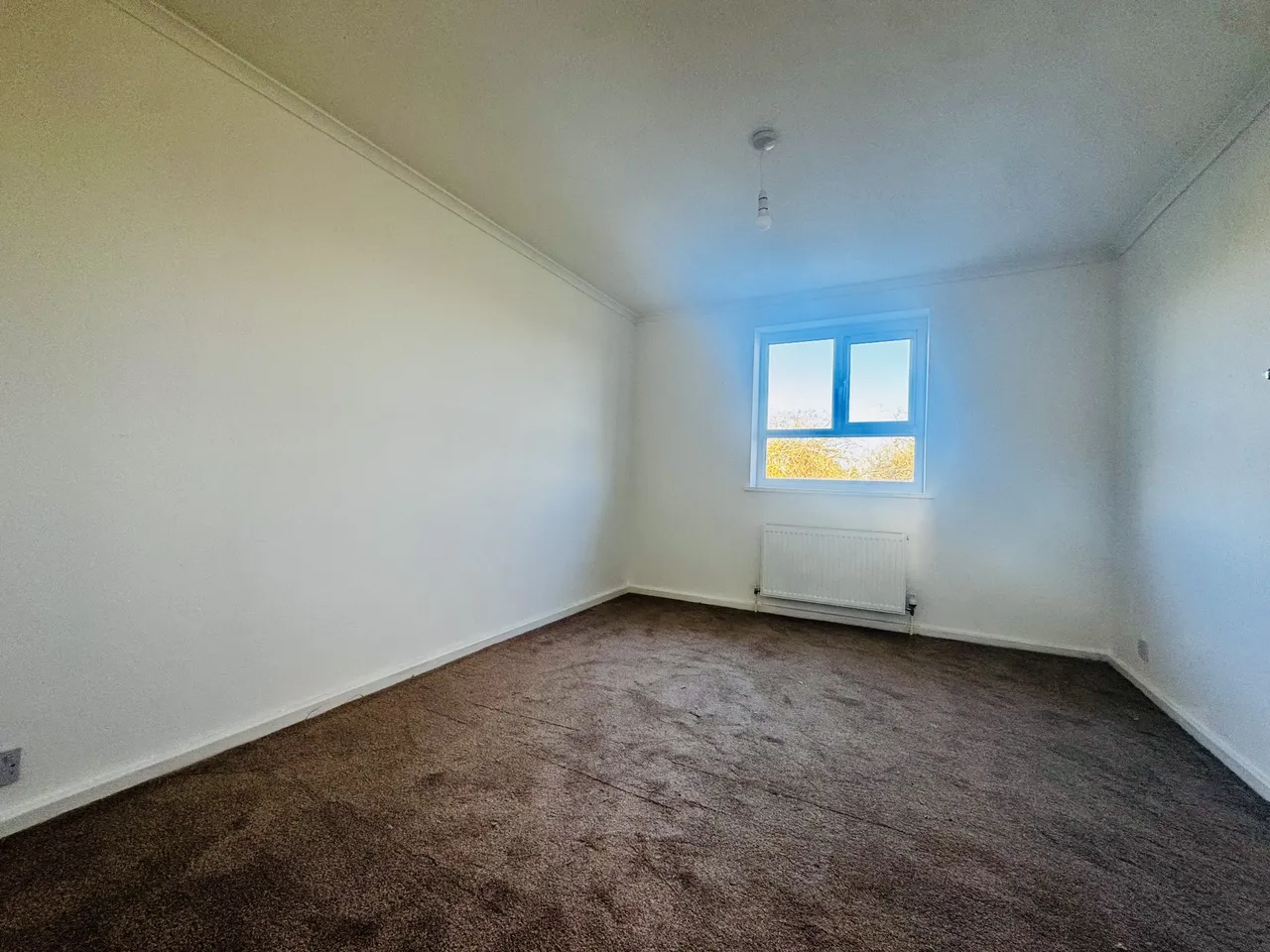 Minerva Way, WELLINGBOROUGH, photo 9