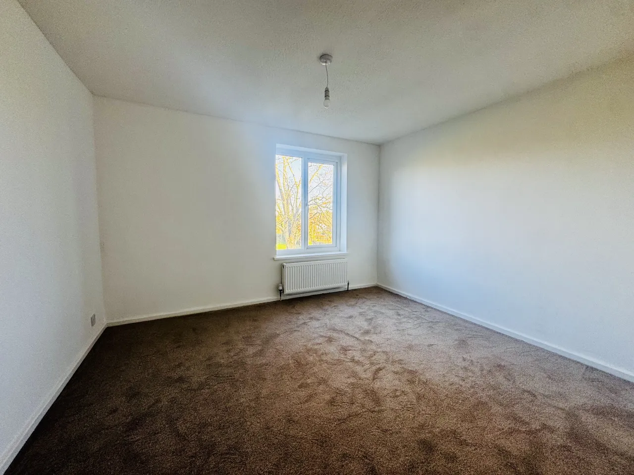 Minerva Way, WELLINGBOROUGH, photo 7