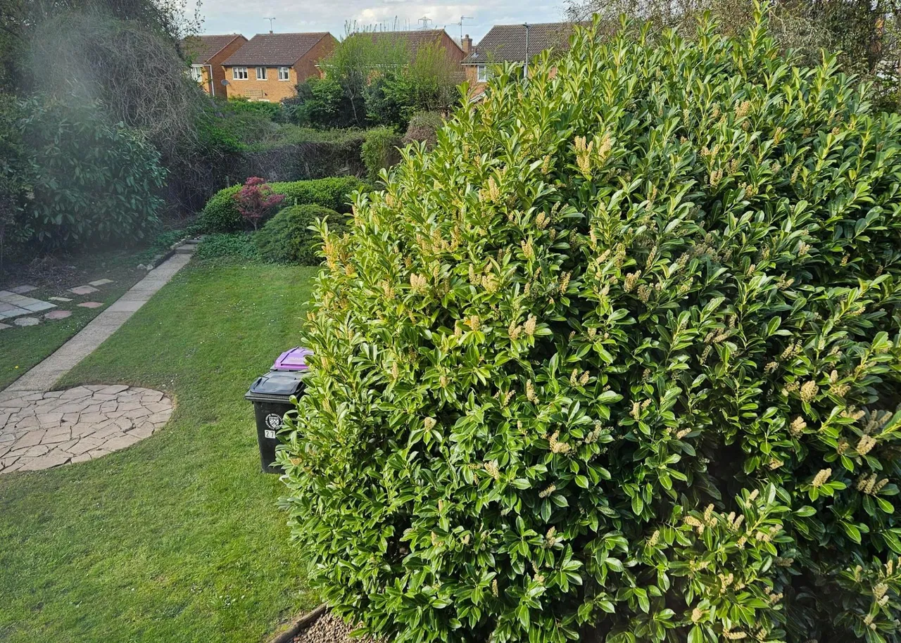 Ash Grove, Grantham, NG31, photo 9