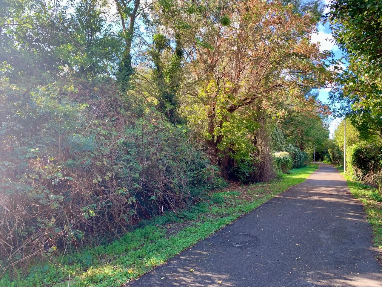 Ash Grove, Grantham, NG31, photo 11