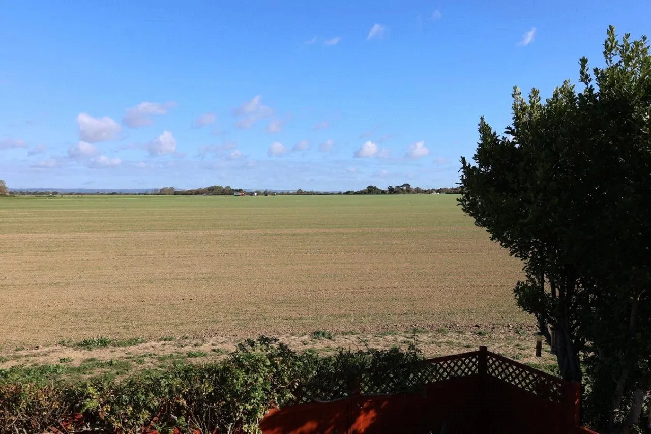 Chichester Road, Selsey, PO20, photo 21