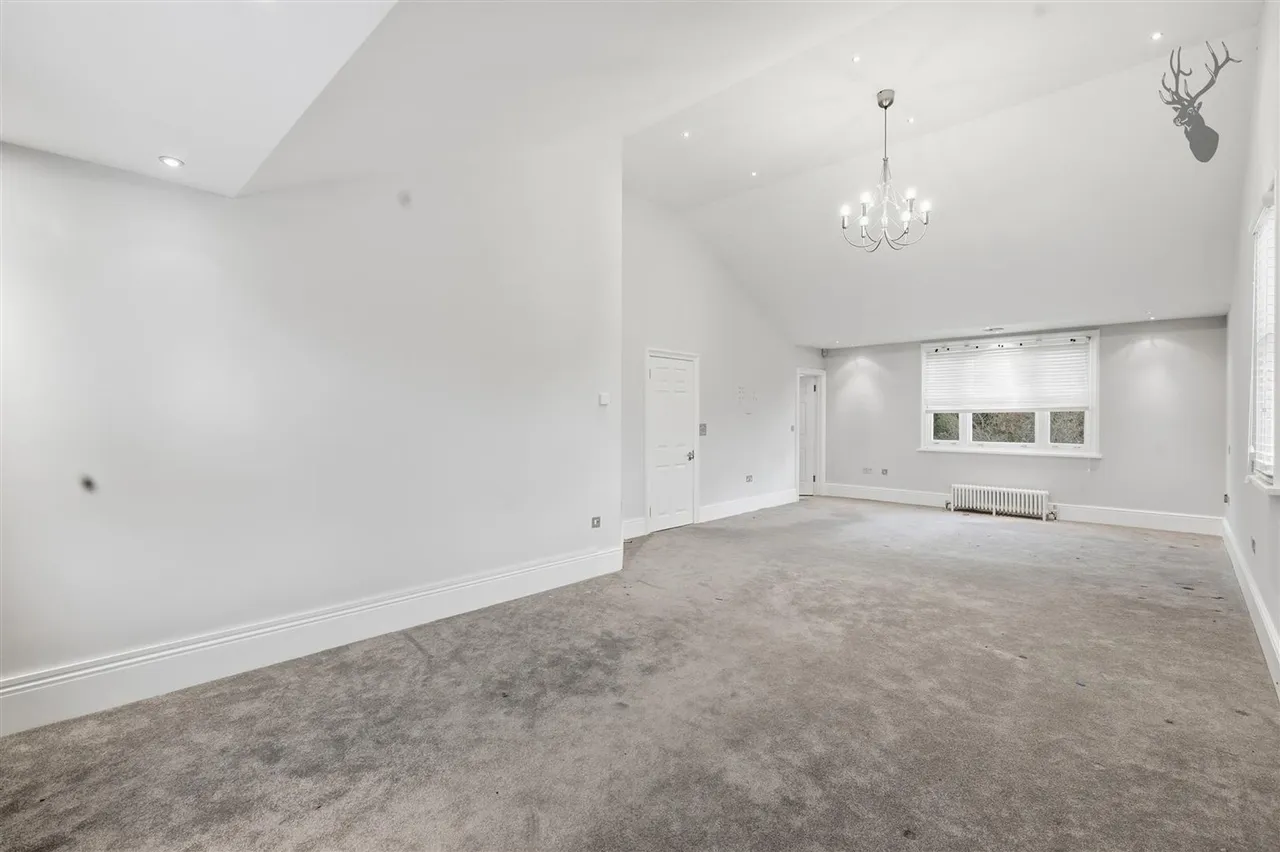 Manor Road, High Beech, IG10, photo 18