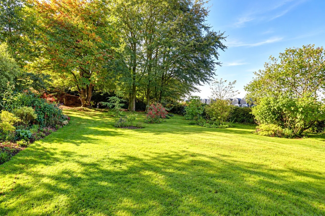 High Bickington, Umberleigh, EX37, photo 11
