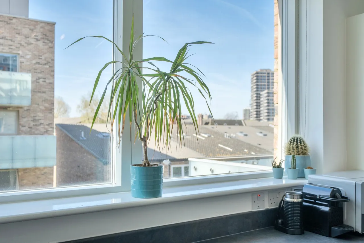 Pomeroy Street, SE14, photo 14