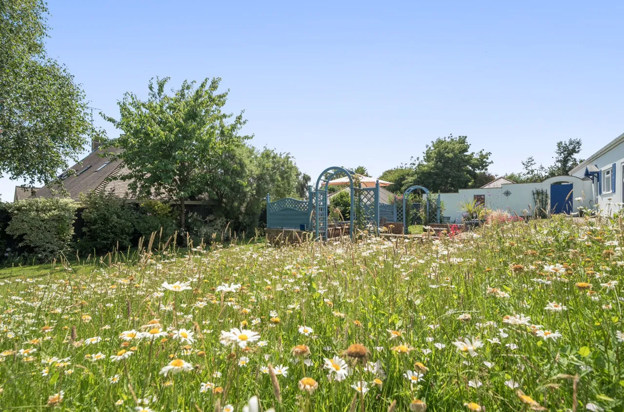 Bedhampton Hill, Havant, PO9, photo 20