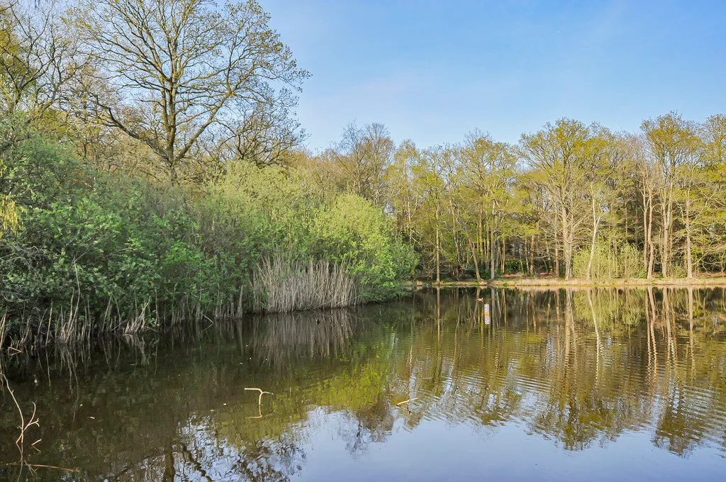 Oxford Road, Gerrards Cross, SL9, photo 28