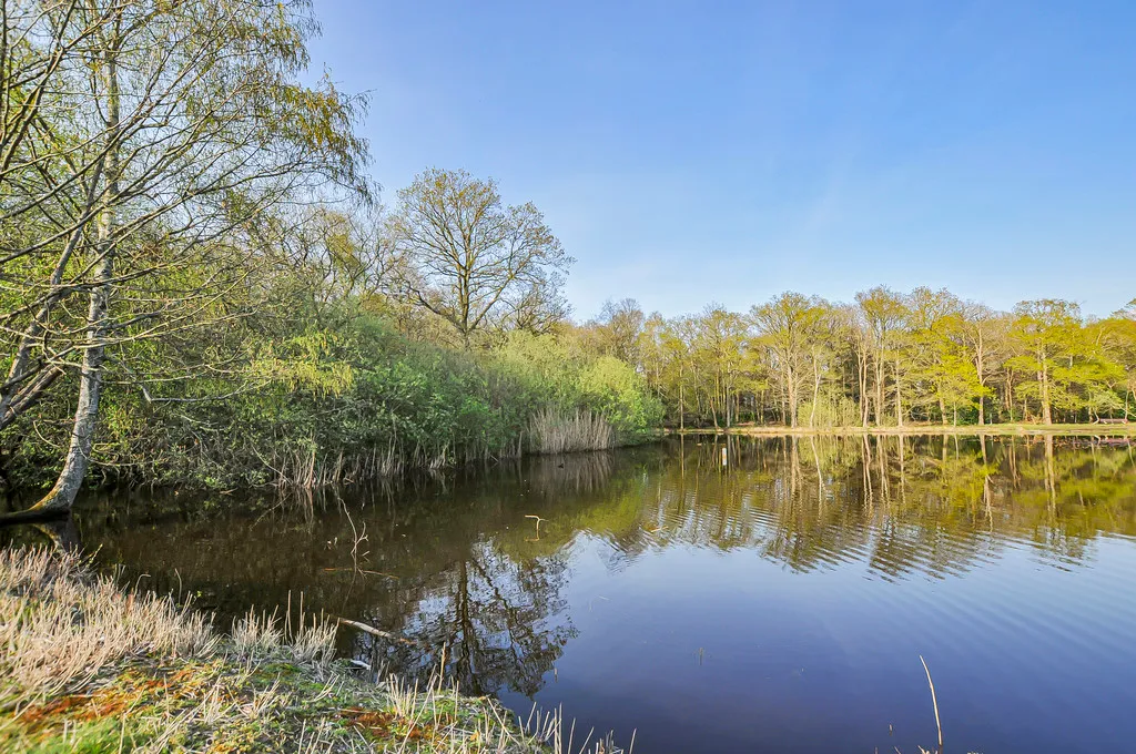 Oxford Road, Gerrards Cross, SL9, photo 57