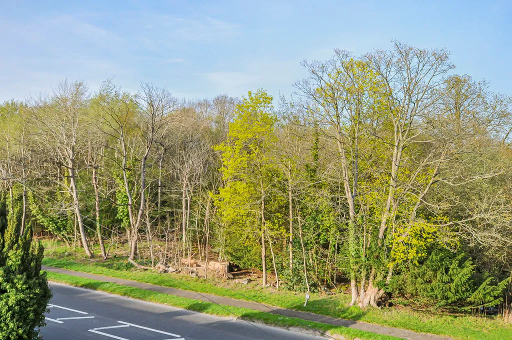 Oxford Road, Gerrards Cross, SL9, photo 26