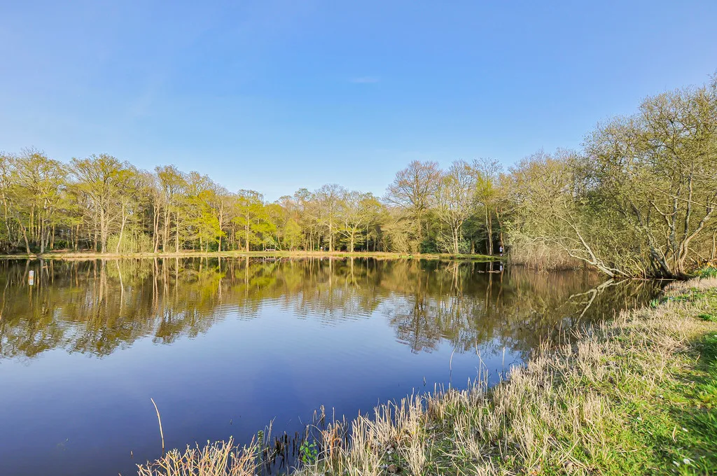 Oxford Road, Gerrards Cross, SL9, photo 59
