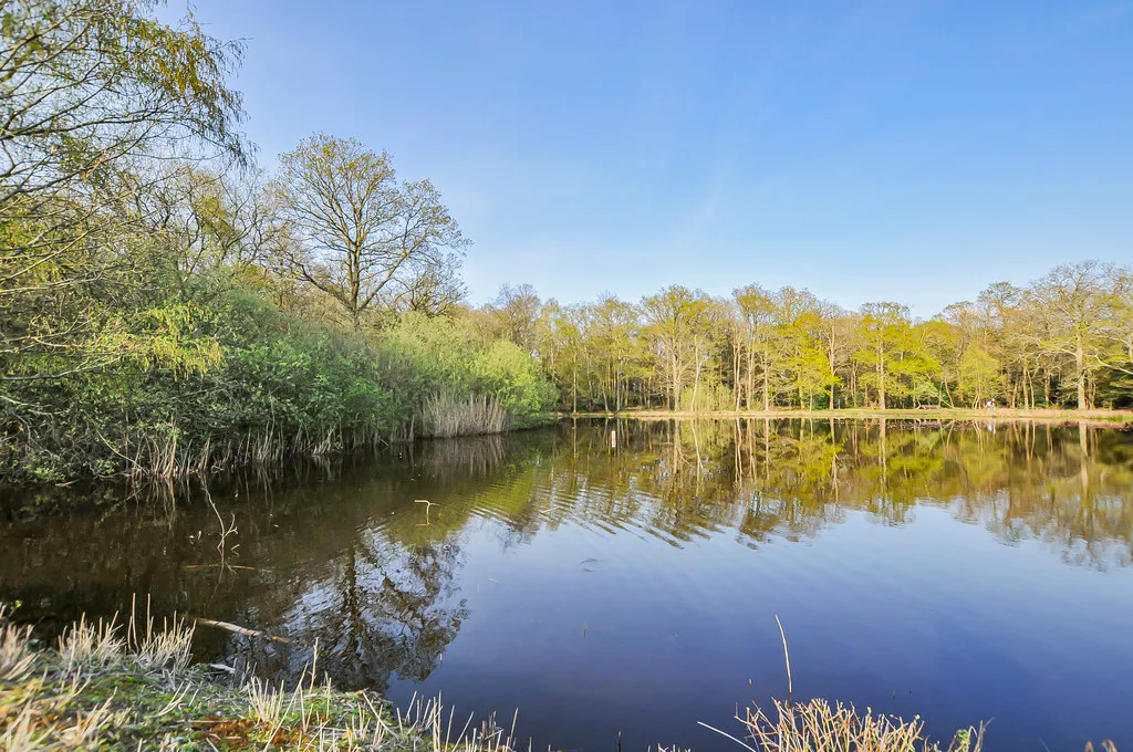 Oxford Road, Gerrards Cross, SL9, photo 49
