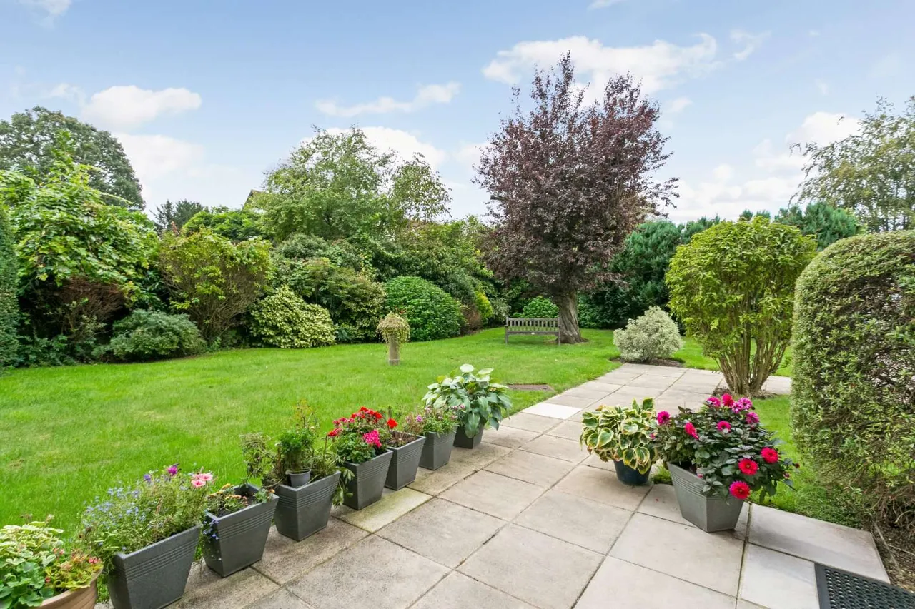 Phyllis Court Drive, Henley-on-Thames, RG9, photo 14