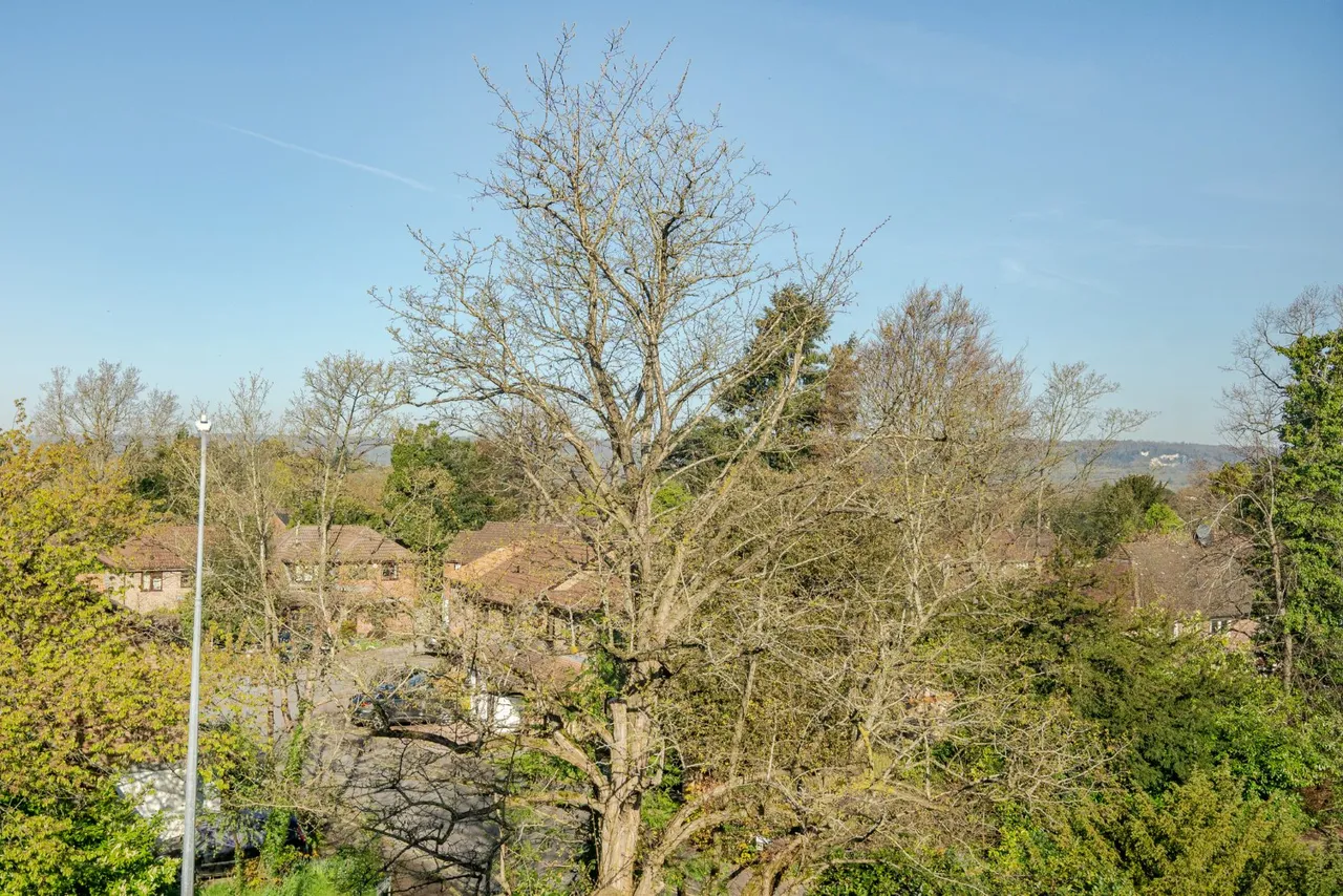 Dartford Road, Sevenoaks, Kent, TN13 3TQ, photo 13