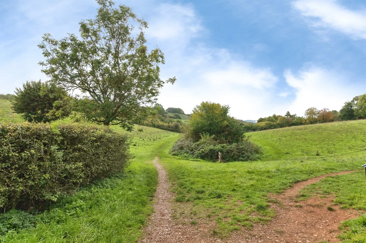 Parkland Drive, Exeter, EX2, photo 12