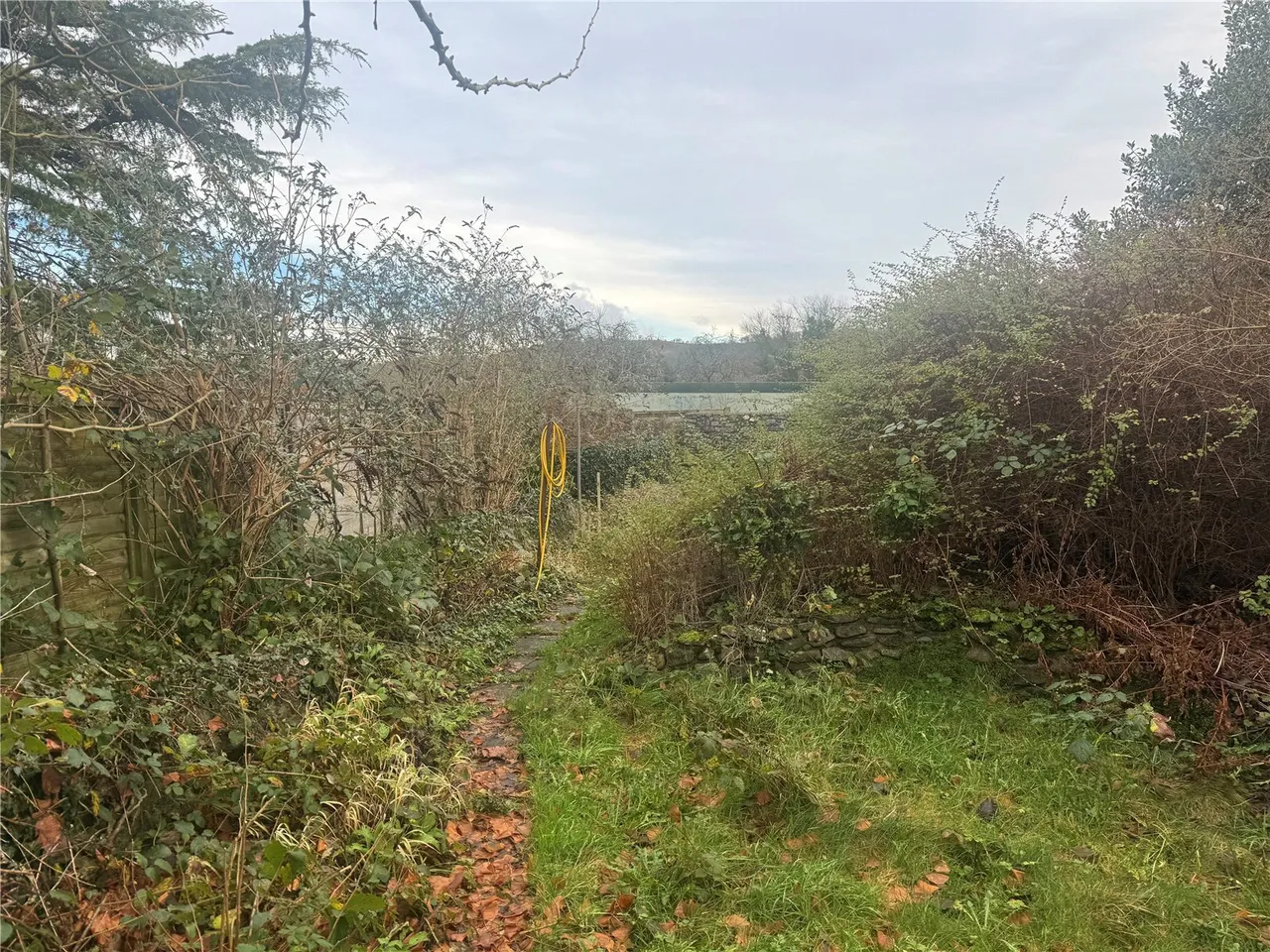 Castle Street, Llandovery, SA20, photo 19