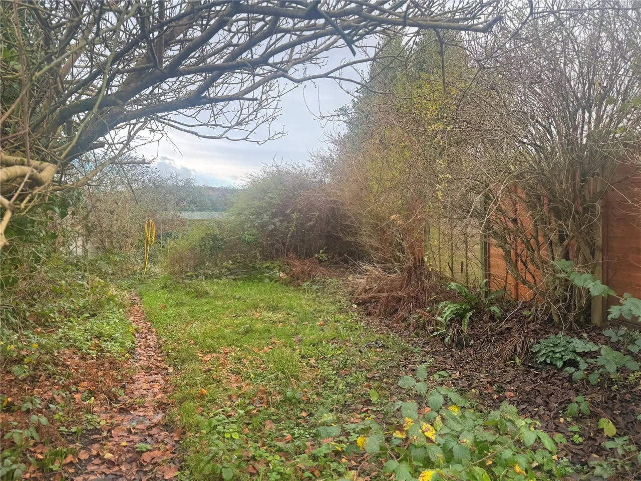 Castle Street, Llandovery, SA20, photo 20