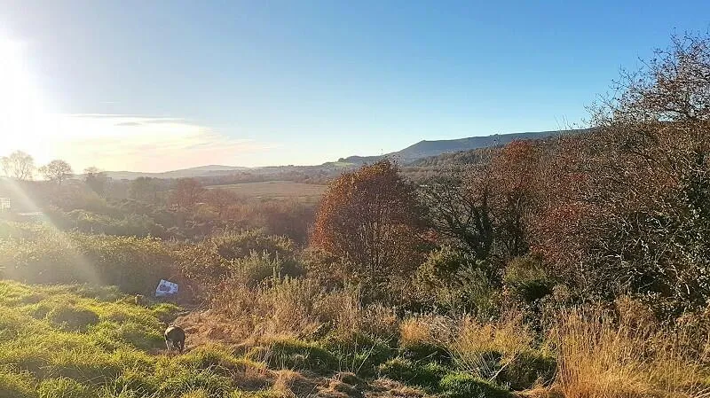 Neath Road, Tonna, SA11, photo 4