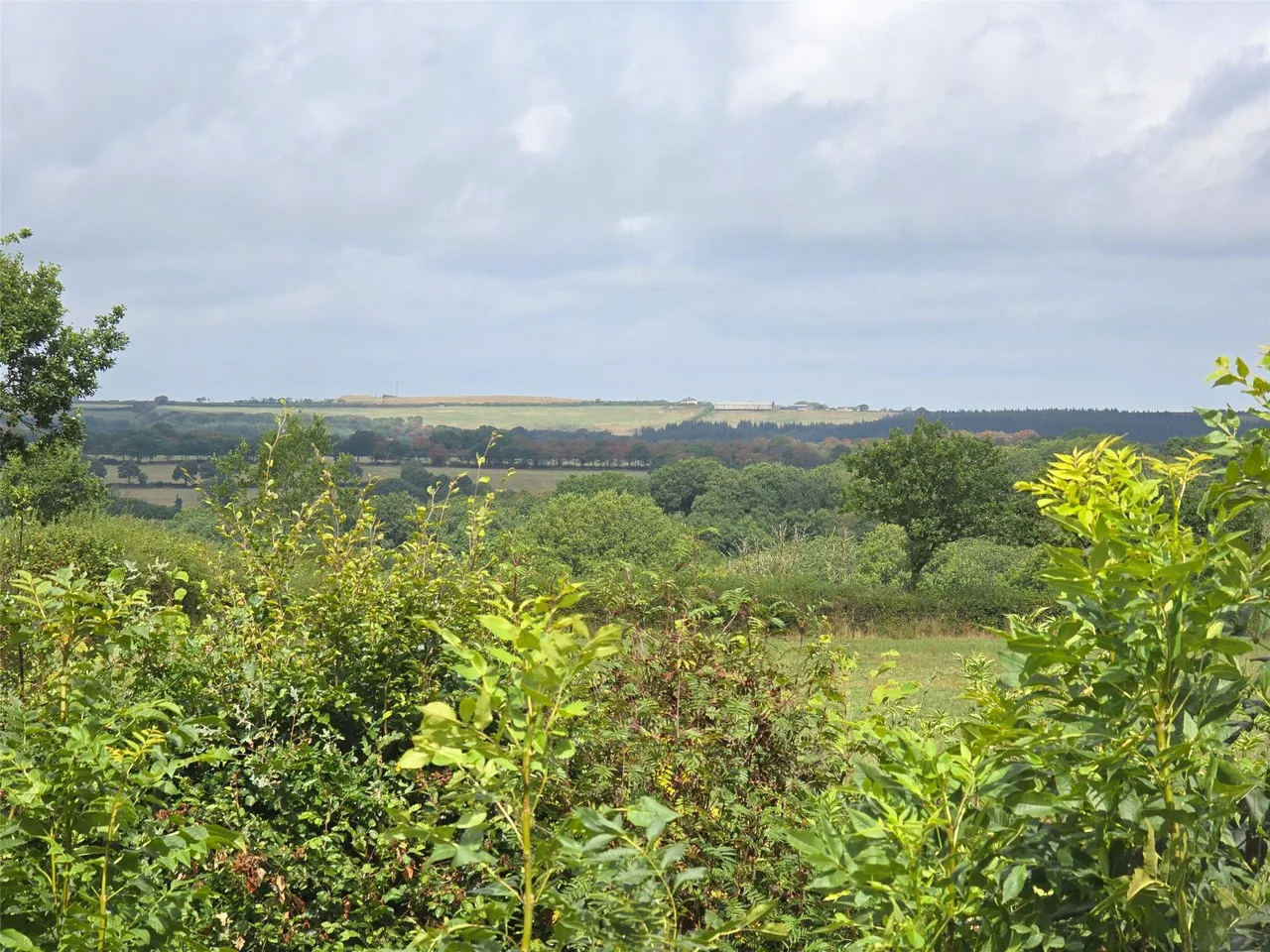 Ashwater, Beaworthy, photo 22