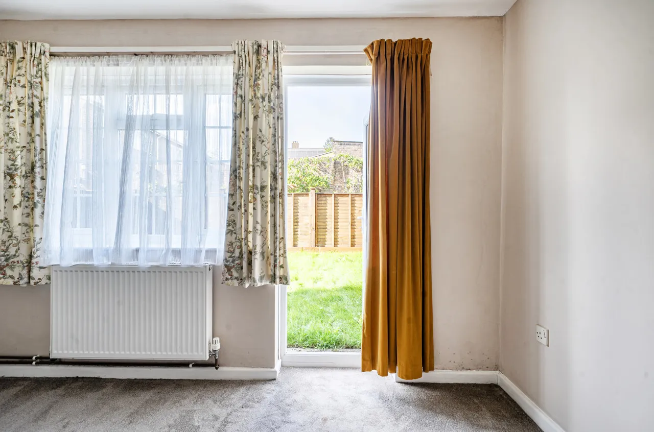 Buckwell, Wellington, TA21, photo 12