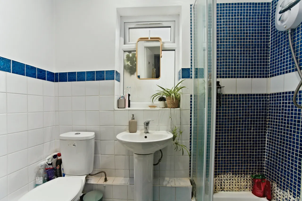 High Street, London, SE25, photo 12