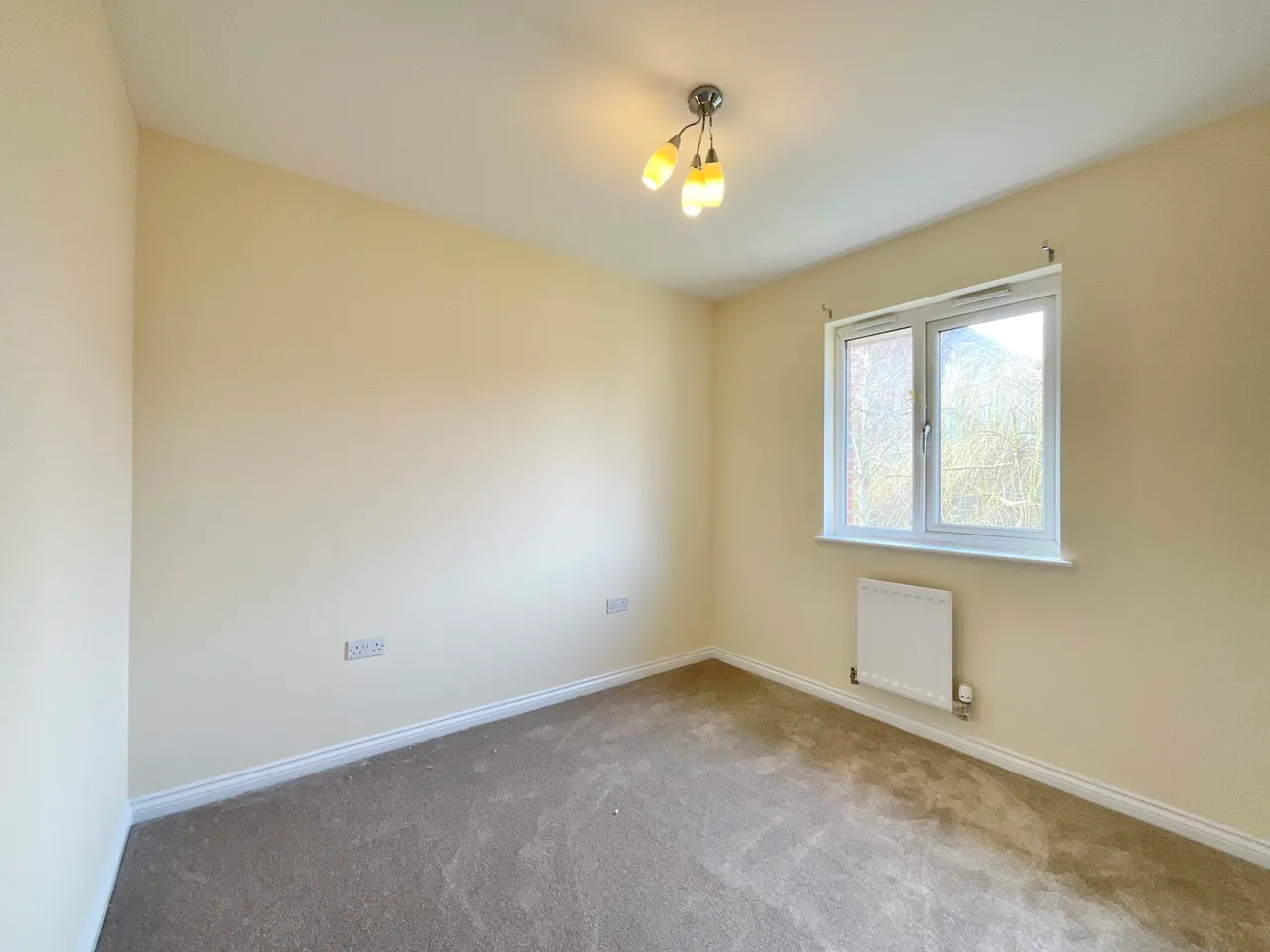 Blears Avenue, Nantwich, CW5, photo 16