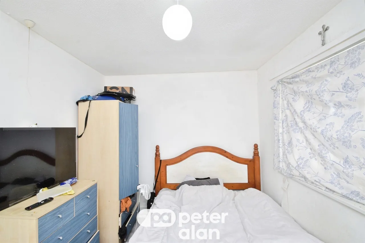 Fernhill Mountain Ash, CF45, photo 14