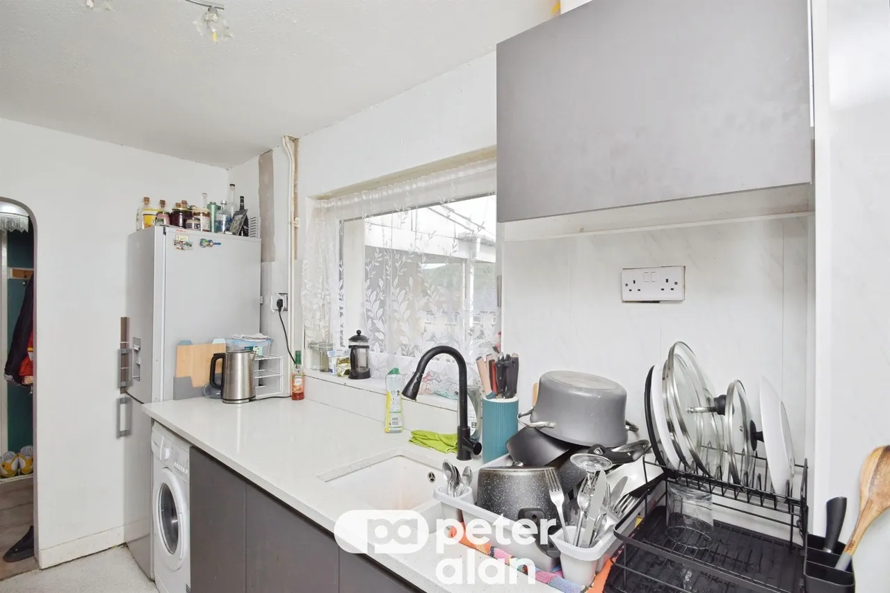 Fernhill Mountain Ash, CF45, photo 4