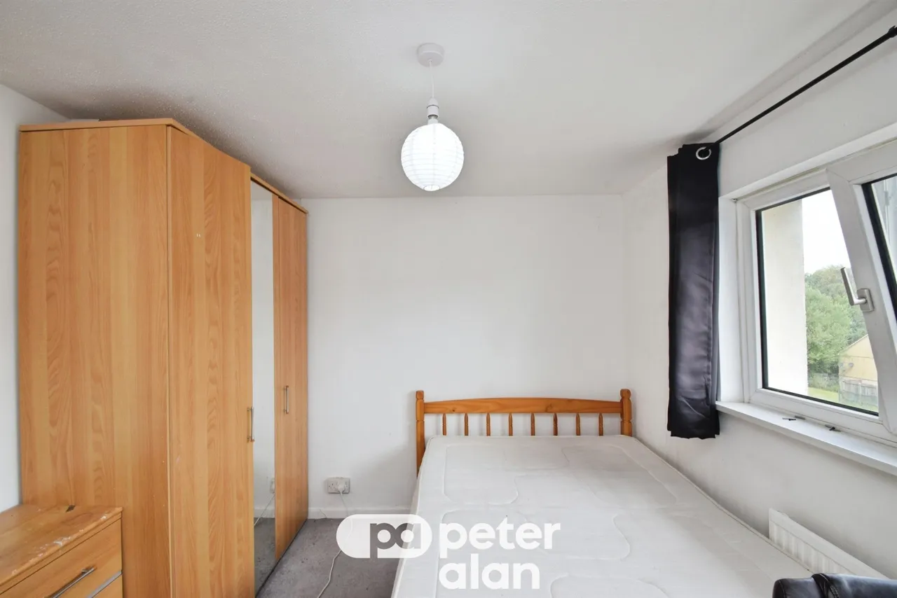 Fernhill Mountain Ash, CF45, photo 9