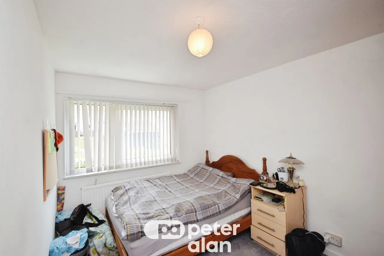 Fernhill Mountain Ash, CF45, photo 12