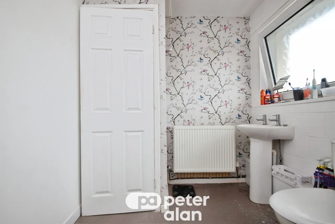 Fernhill Mountain Ash, CF45, photo 17