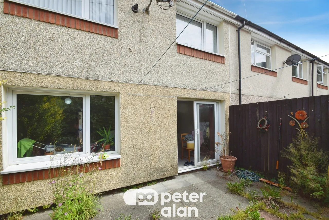 Fernhill Mountain Ash, CF45, photo 18