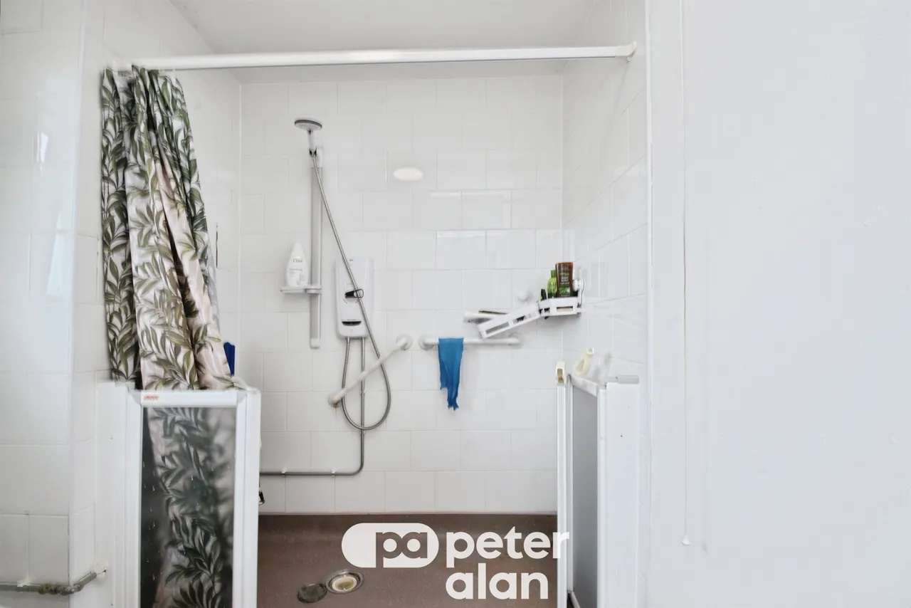 Fernhill Mountain Ash, CF45, photo 8