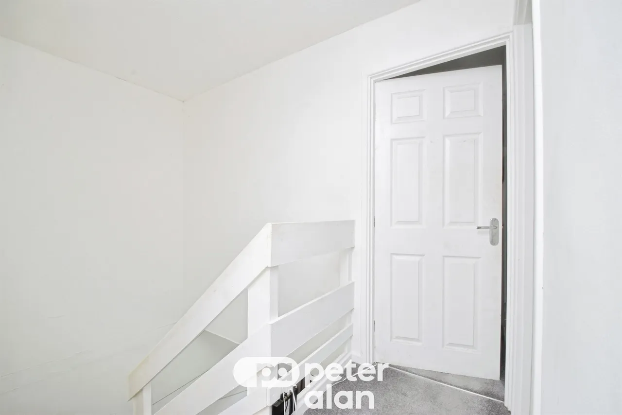 Fernhill Mountain Ash, CF45, photo 7