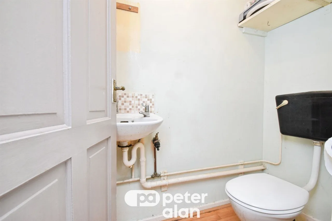 Fernhill Mountain Ash, CF45, photo 16