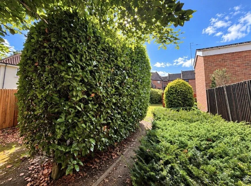 Harvey Lane, Norwich, Norfolk, NR7, photo 10