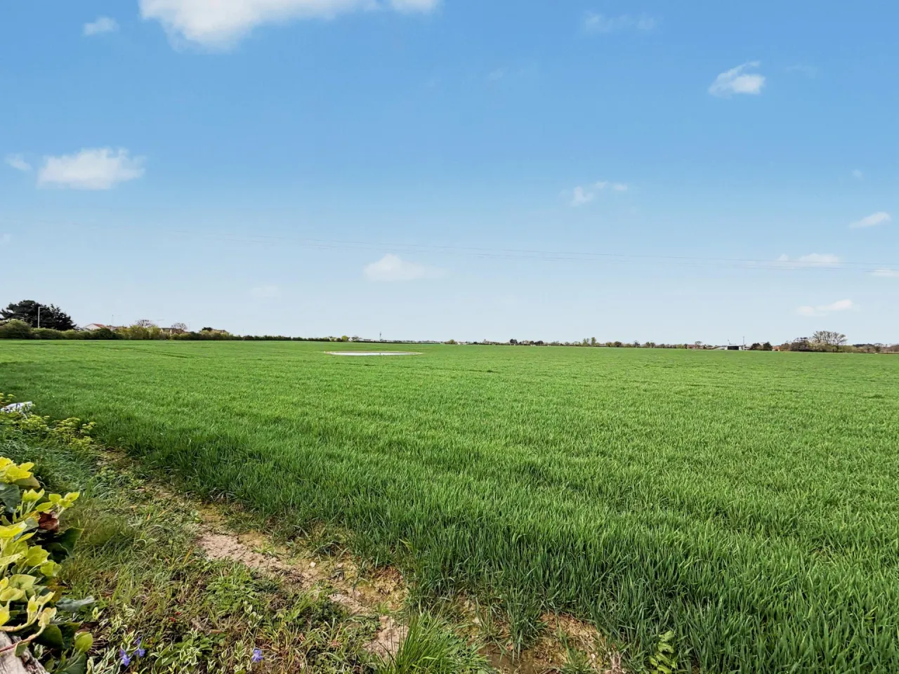 Green Lane, Bradwell, photo 15