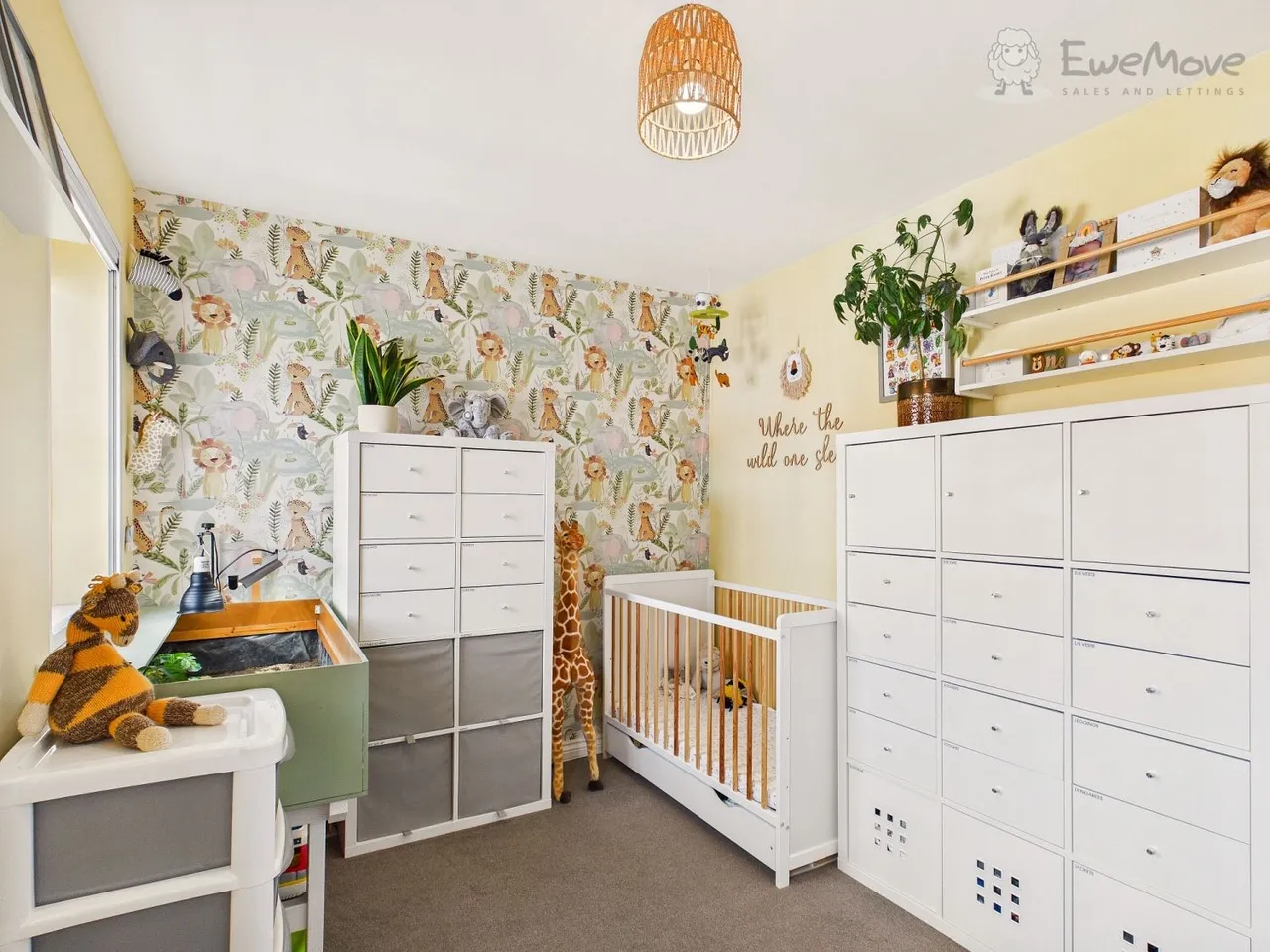 Ash Drive, South Molton, EX36, photo 9