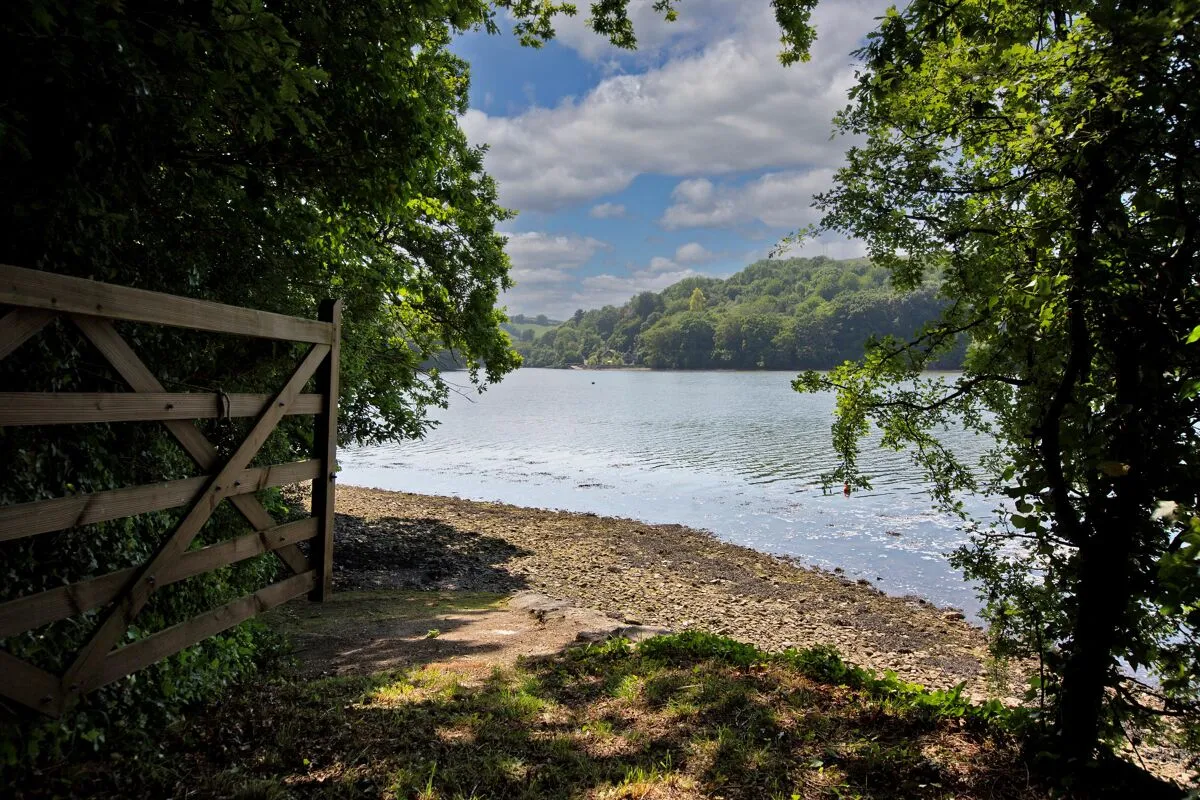 Lower Street, Dittisham, TQ6, photo 21