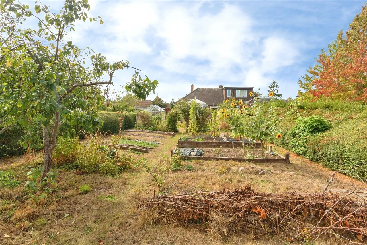 Hatch Lane, Old Basing, RG24, photo 18