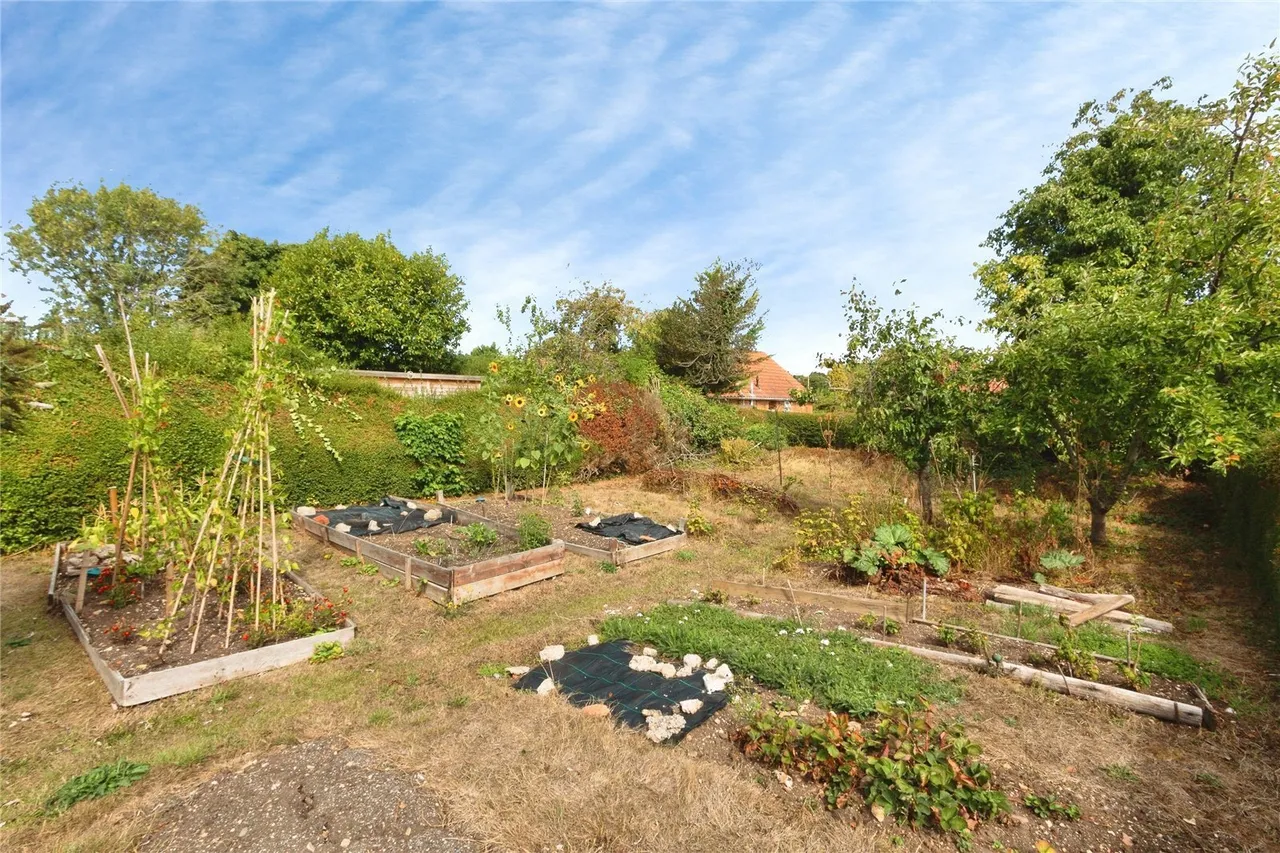 Hatch Lane, Old Basing, RG24, photo 17
