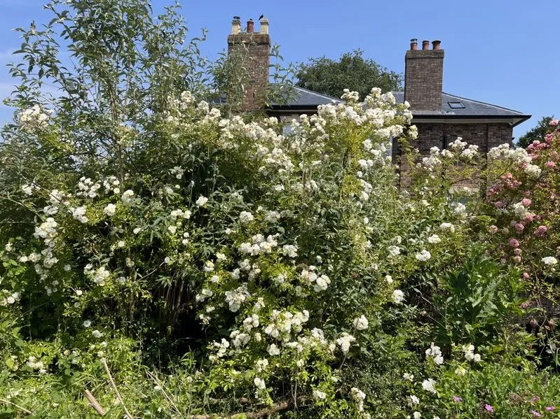 St. Marys Lane, Much Wenlock, Shropshire TF13 6HD, photo 14