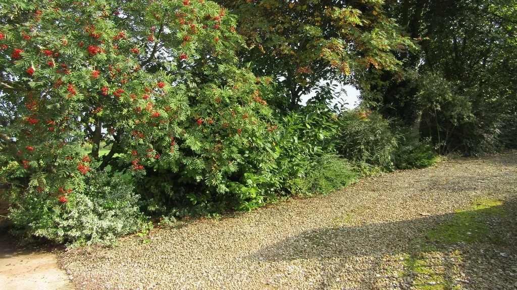 Riddings Lane, Draycott-in-the-Clay, photo 12
