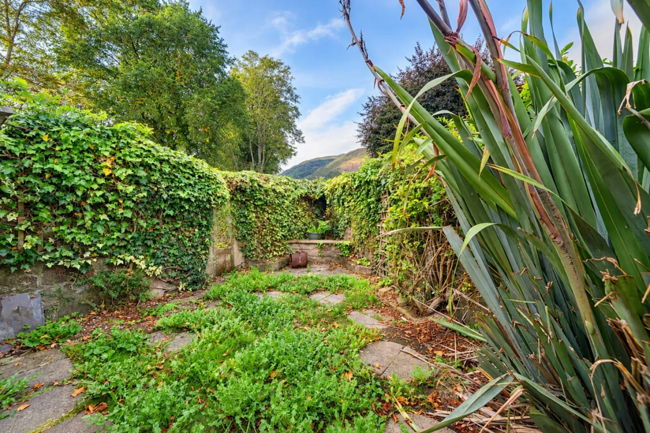 Ochil Street, Tillicoultry, FK13, photo 19