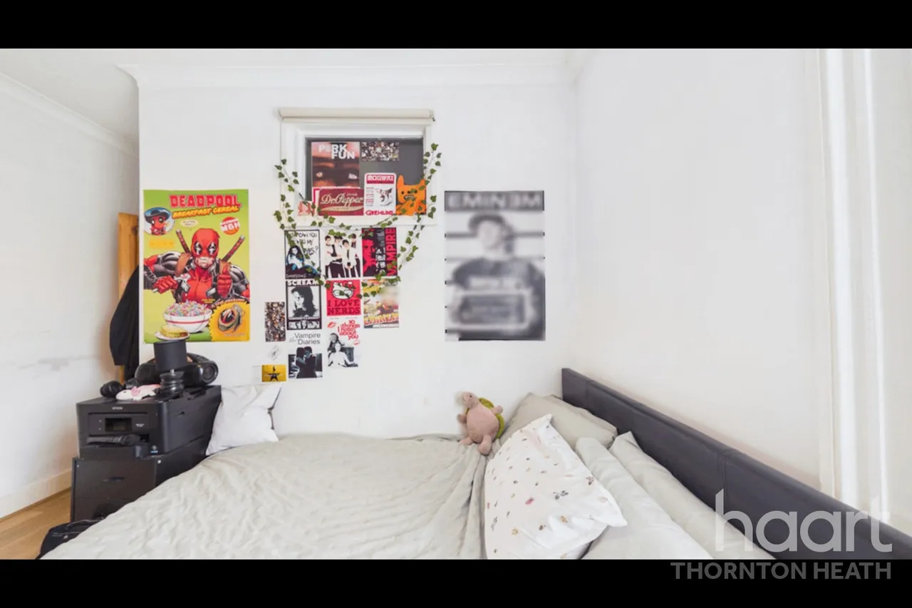 Danbrook Road, London, SW16, photo 29