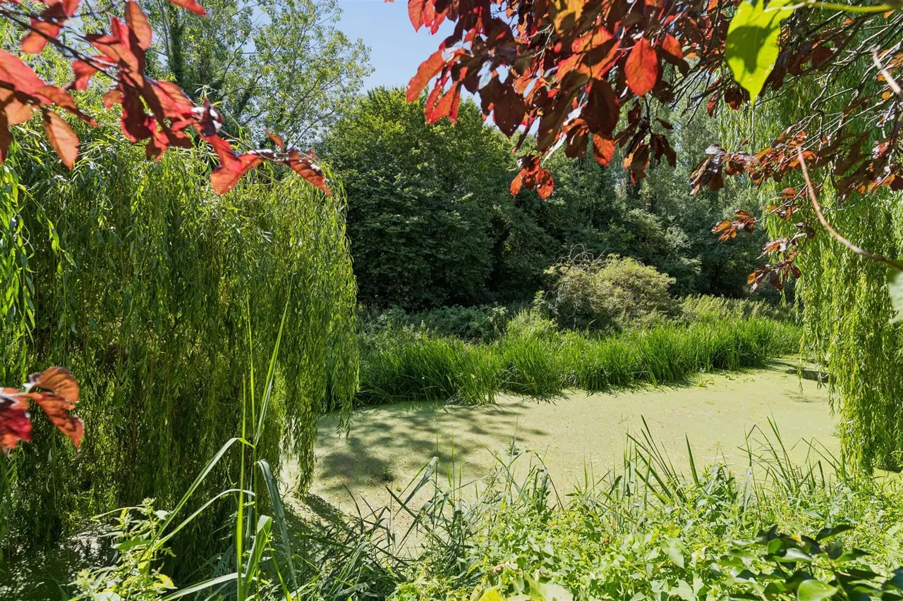 Wagstaff Way, Olney, photo 16